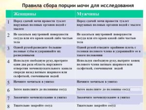 Алгоритм забор мочи на общий анализ