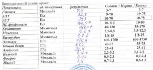 Анализ биохимия крови сколько делается