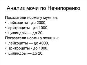 Анализ на нечипоренко что показывает при беременности