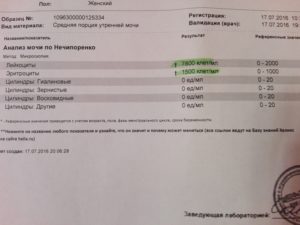 Анализ на нечипоренко что показывает при беременности