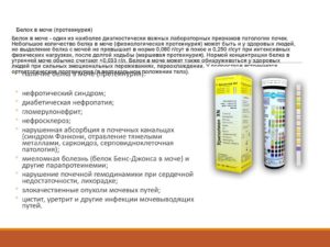 Белок в моче понижен что это значит