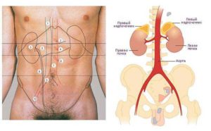Болит почка с левой стороны при движении