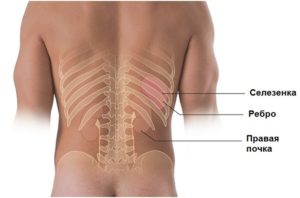 Болит почка с правой стороны сзади