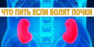 Болят почки что нужно принимать