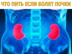 Болят почки что нужно принимать