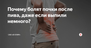 Болят почки после пива лечение