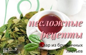 Брусничный лист при отеках как заваривать