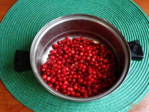 Брусника при солях в почках