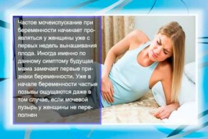 Частое мочеиспускание при беременности на каком сроке