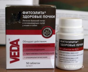 Чем лечить заболевание почек у собак