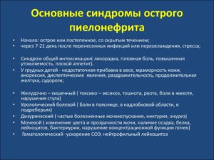 Чем снять болевой синдром при пиелонефрите