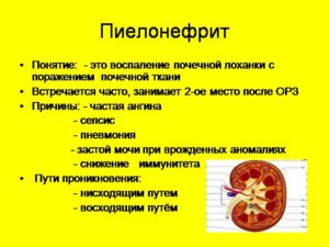 Что назначают при воспалении почек