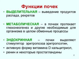 Что означает дисфункция почек