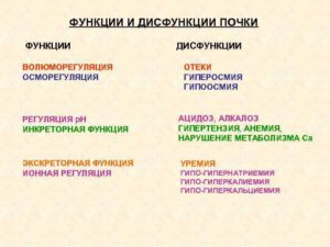Что означает дисфункция почек
