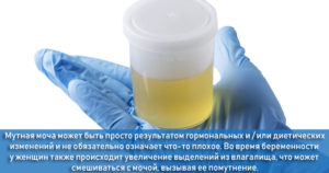 Цвет мочи на ранних сроках беременности
