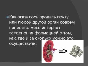Где продать почку и сколько стоит