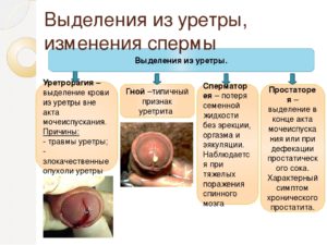 Из уретры кровяные выделения