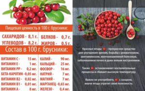 Как использовать бруснику для лечения почек