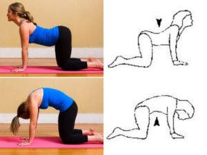 Как поднимать почку