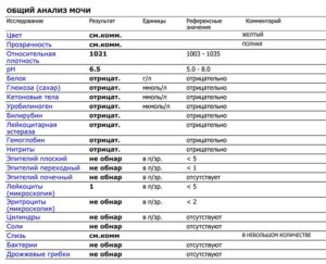 Как в анализе мочи обозначаются эритроциты