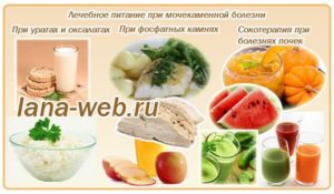 Какие фрукты можно при мочекаменной болезни