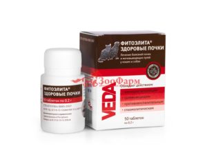 Какие витамины пить для почек