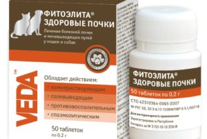 Какие витамины пить для почек