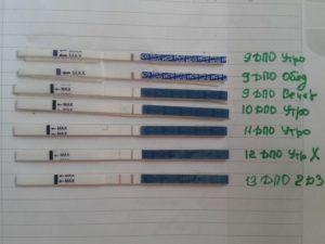 Когда появляется хгч в моче при беременности