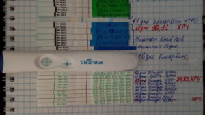 Когда появляется хгч в моче при беременности