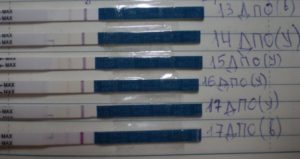 Когда появляется хгч в моче при беременности