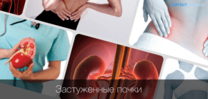 Когда продуло почки