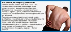 Когда продуло почки