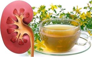 Лечение нефрита почек народными средствами в домашних условиях