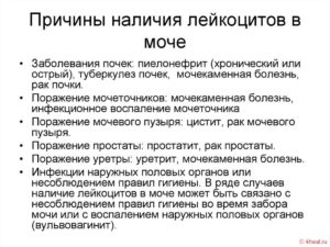 Лейкоциты в моче повышены причины у ребенка