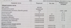 Лейкоциты в моче при беременности 25 20