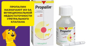 Лекарство от недержания мочи у собак