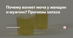 Липкая моча у мужчин причины