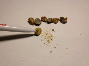 Медикаментозное лечение песка в почках