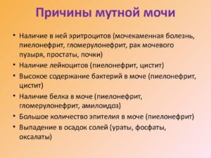 Много мочи причины