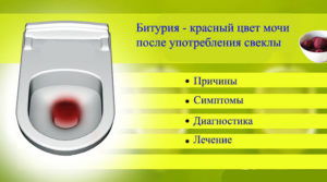 Может ли моча поменять цвет от свеклы