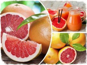 Можно ли есть грейпфрут при болезни почек