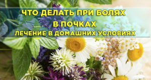 Ноют почки что делать в домашних условиях