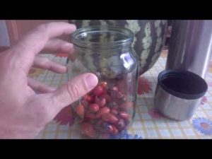 Очищение почек в домашних условиях арбузом