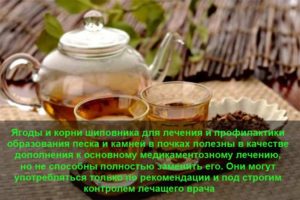 От песка в почках шиповник