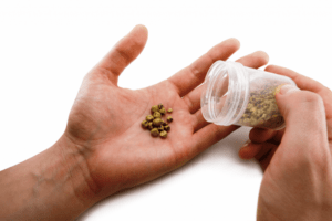 Песок в почках народное лечение