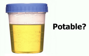 Почему моча мутная и пахнет