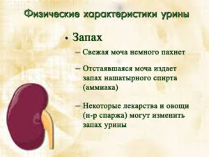 Почему сильно пахнет моча у подростка