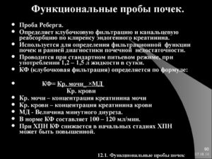 Почки функциональные пробы