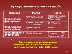 Почки функциональные пробы