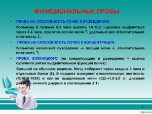 Почки функциональные пробы